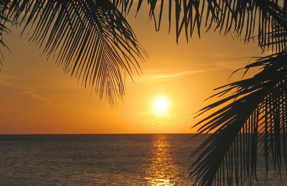 Fototapete ILE TROPICALE 366x254 Strand Palmen Karibik Insel Tropen Meer Sonne