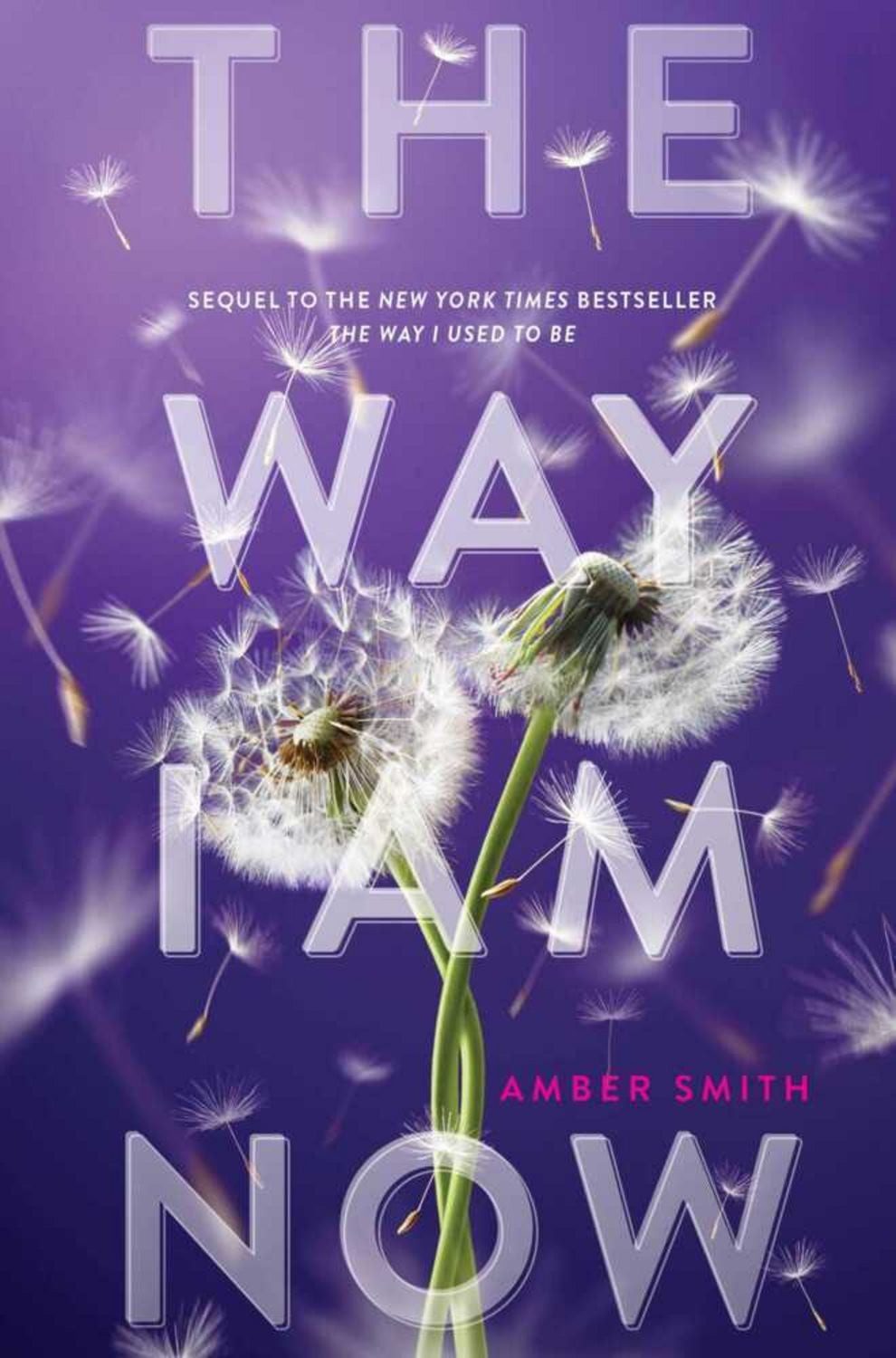 The Way I Am Now / Amber Smith