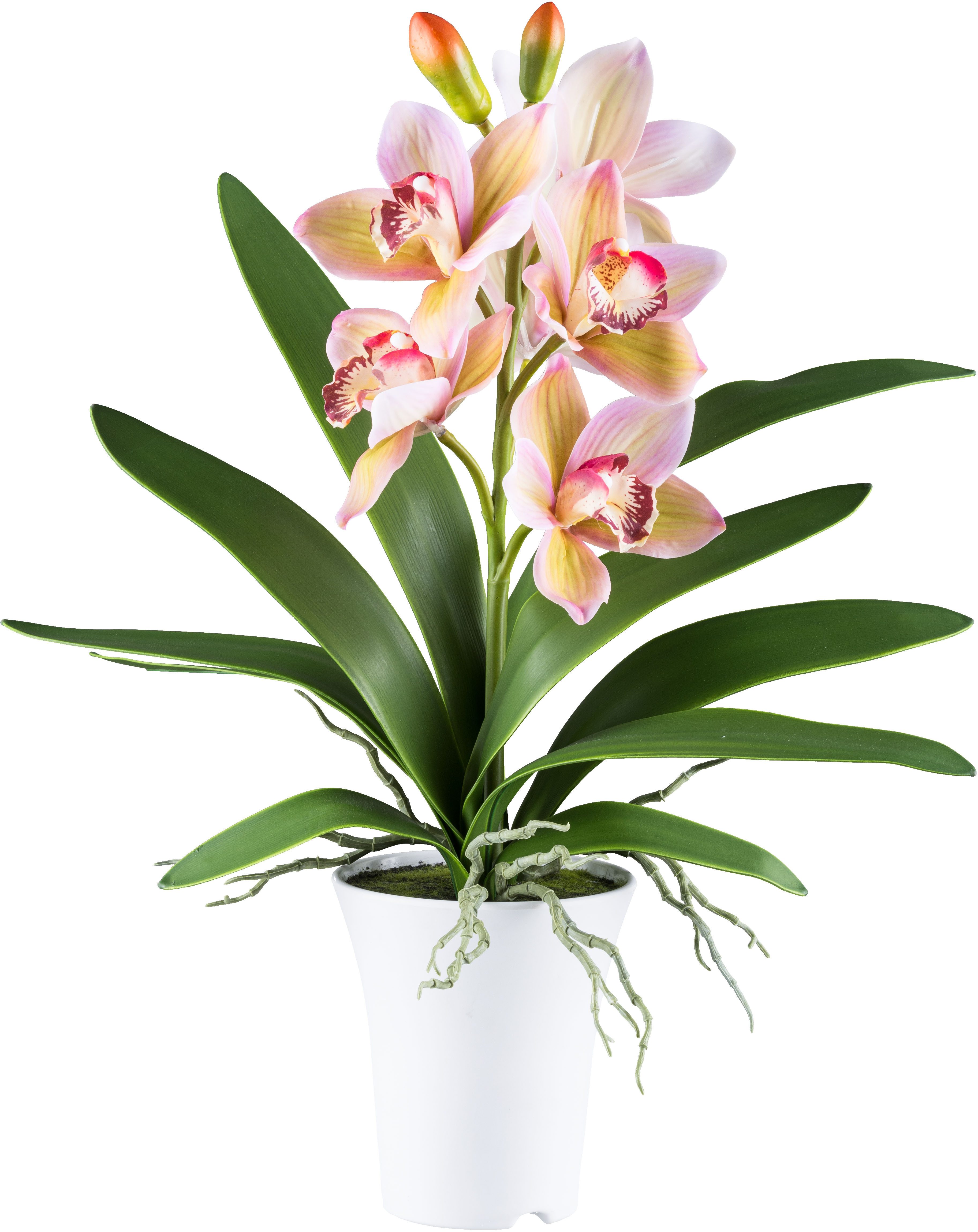 Kunstorchidee Orchidee Cymbidie, Creativ green, Höhe 53 cm, mit real-touch-Blüten