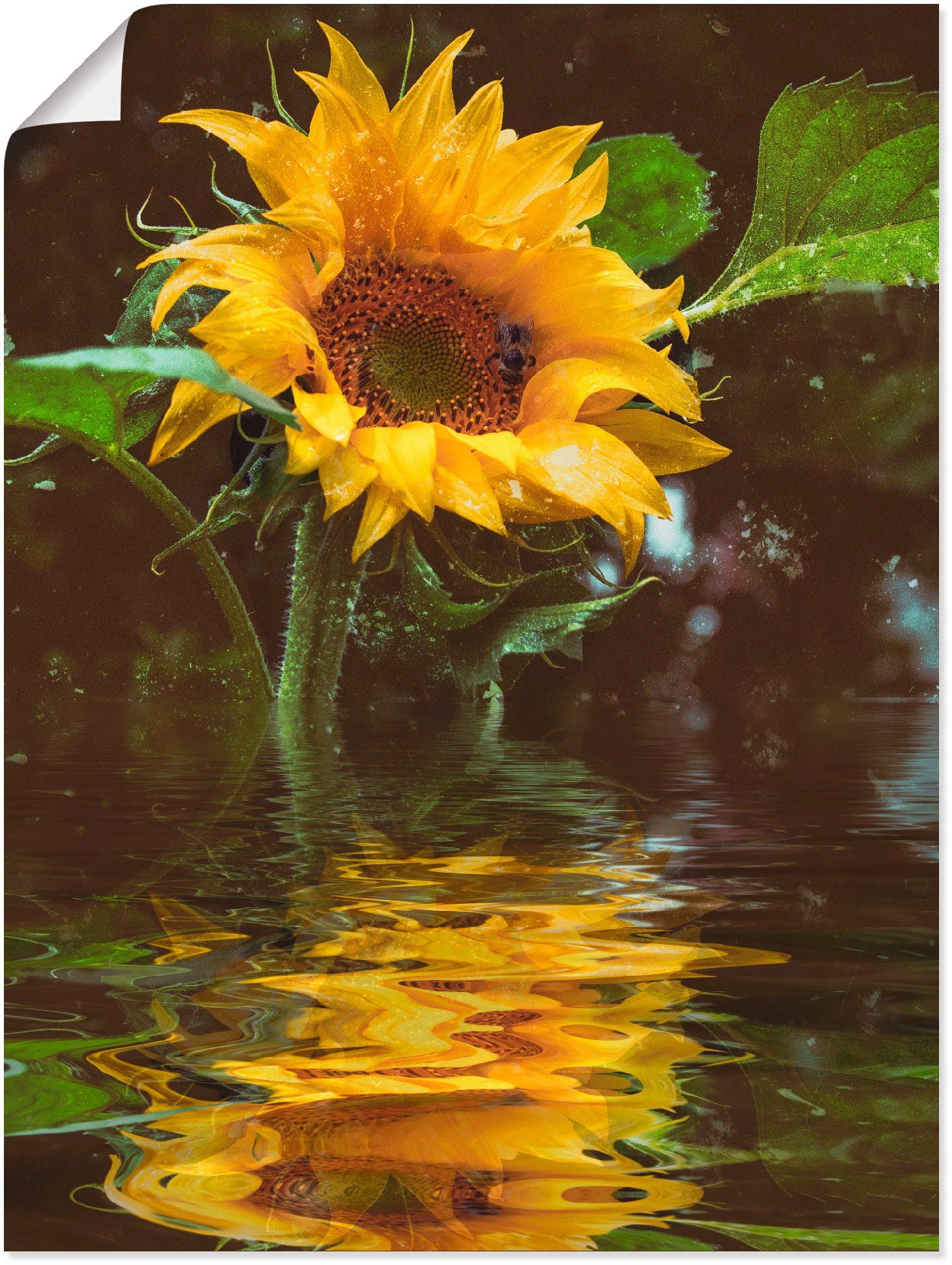 Artland Wandbild Sonnenblume, Blumen (1 St), günstig online kaufen