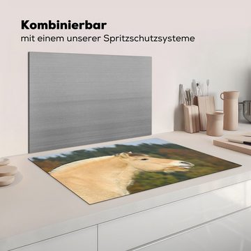 MuchoWow Herdblende-/Abdeckplatte Nahaufnahme eines hellbraunen Fjordpferdes, Vinyl, (1 tlg), 81x52 cm, Induktionskochfeld Schutz für die küche, Ceranfeldabdeckung