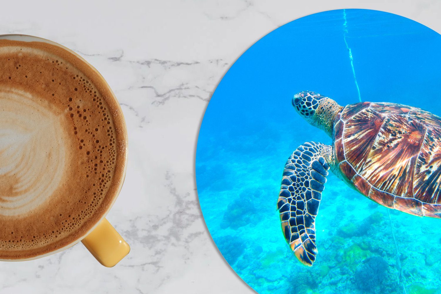 Meer Glasuntersetzer Blau, Schildkröte Becher Gläser, 6-tlg., - Zubehör MuchoWow Getränkeuntersetzer, für - Tassenuntersetzer, Tasse, Korkuntersetzer,