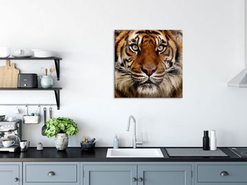 Pixxprint Glasbild Aufmerksamer Tiger, Aufmerksamer Tiger (1 St), Glasbild aus Echtglas, inkl. Aufhängungen und Abstandshalter