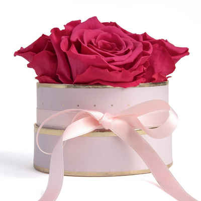 Kunstblume Infinity Rosenbox rosa rund 4 konservierte Rosen Geschenk für Frauen Rose, ROSEMARIE SCHULZ Heidelberg, Höhe 10 cm, echte konservierte Rosen