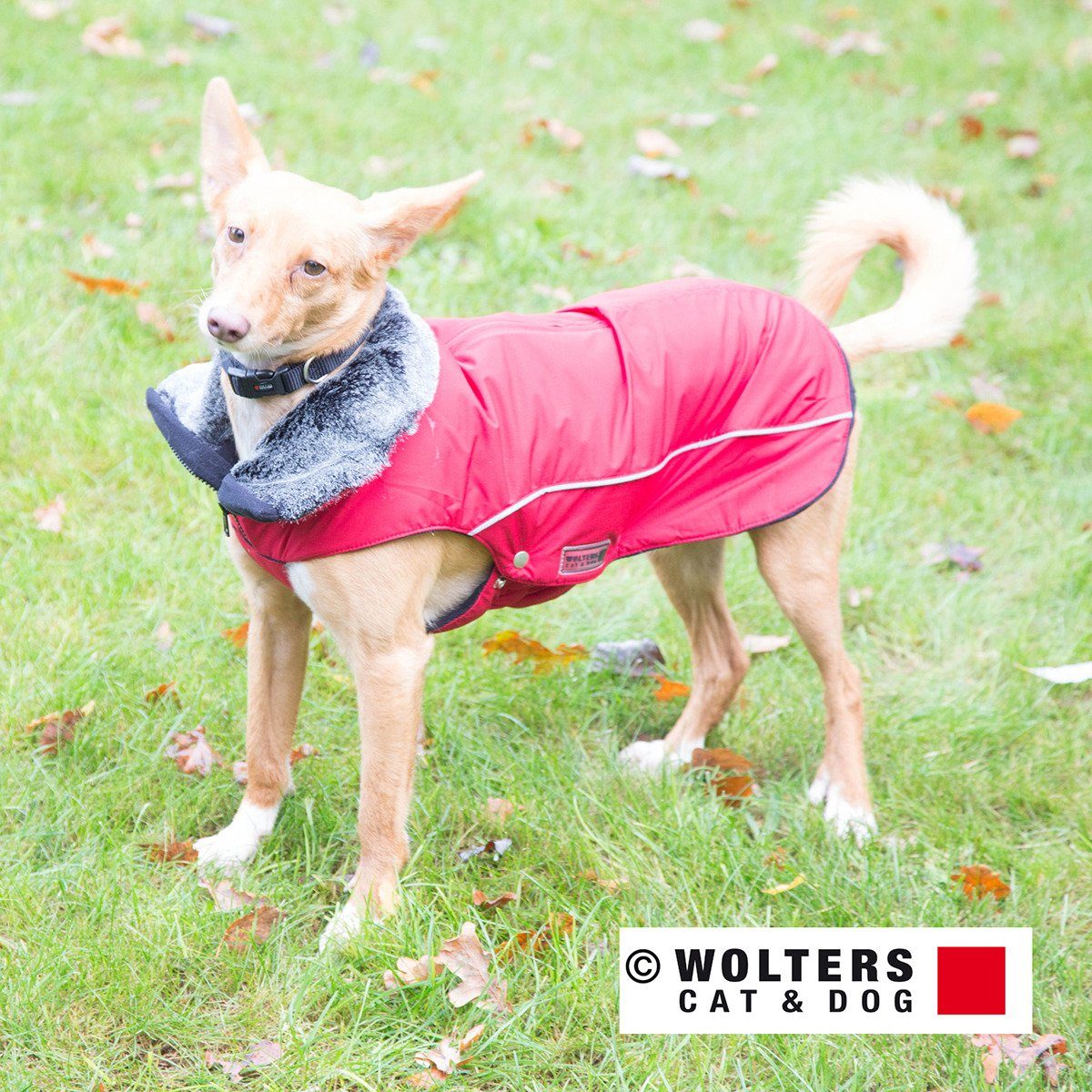 Wolters Hundemantel Winterjacke Amundsen rot