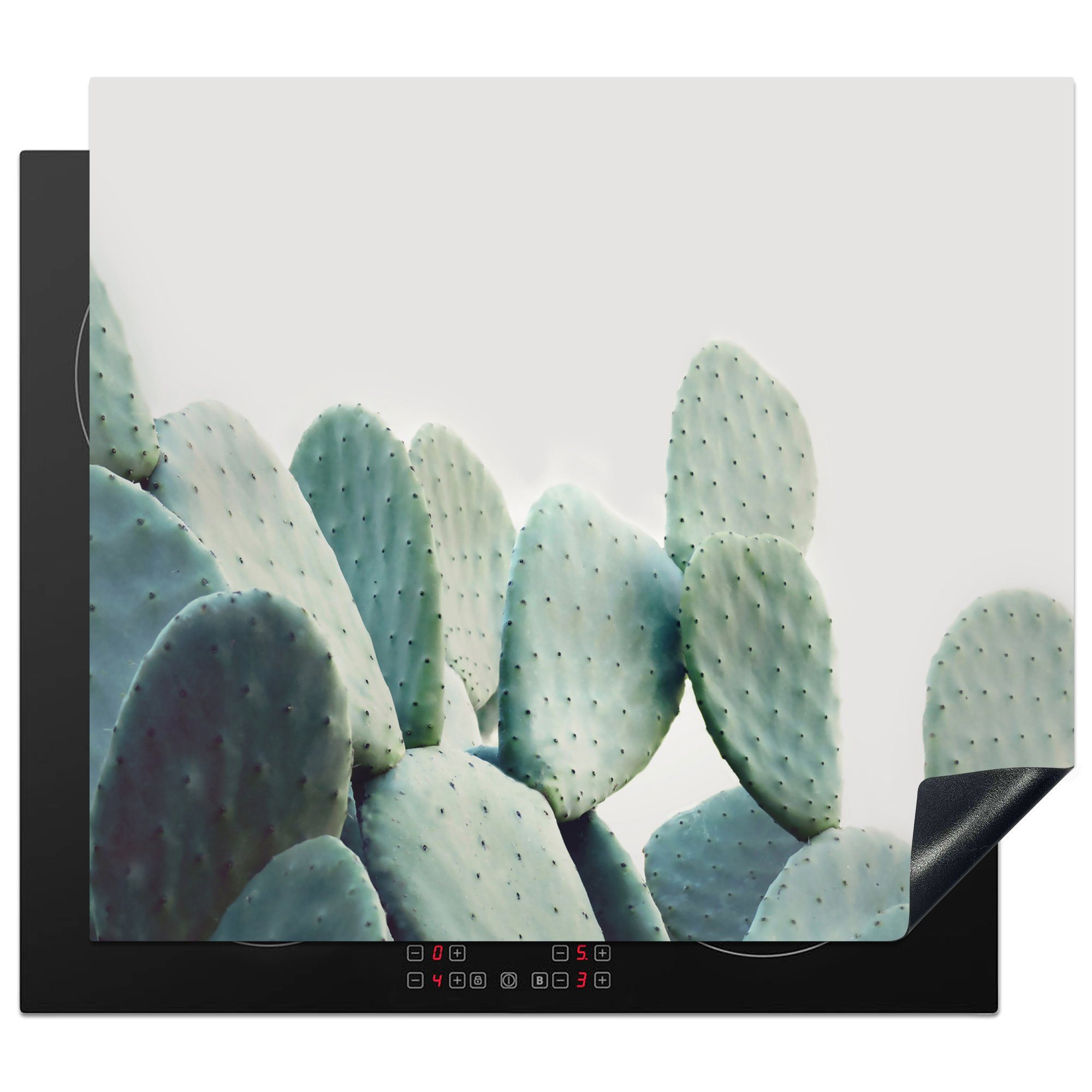 MuchoWow Herdblende-/Abdeckplatte Kaktus - (1 Vinyl, Mobile Arbeitsfläche - Ceranfeldabdeckung tlg), - cm, Grün nutzbar, Natur, Pflanze 60x52