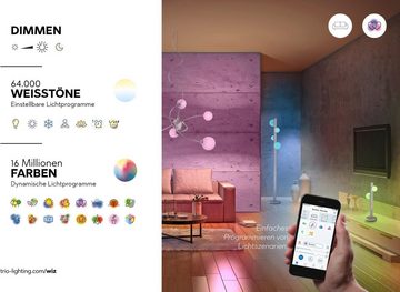 TRIO Leuchten LED Deckenleuchte CHARLY, CCT - über Fernbedienung, Dimmfunktion, Farbwechsel, Leuchtdauer einstellbar, Memoryfunktion, Smart Home, Timerfunktion, mehrere Helligkeitsstufen, LED fest integriert, Kaltweiß, Neutralweiß, Tageslichtweiß, Warmweiß, WiZ Smarthome RGB Deckenlampe Ø 50cm Steuerung per Fernbedienung + App