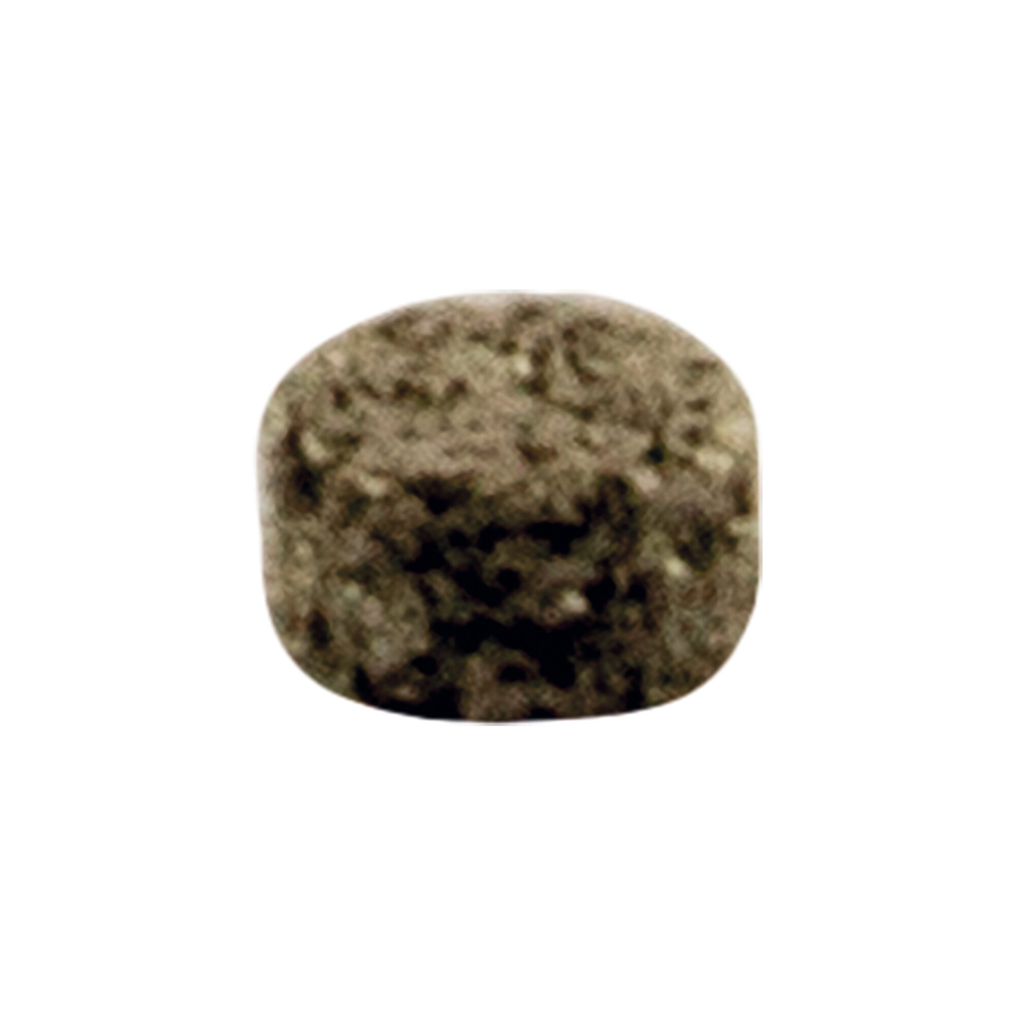 RIEGLER Gardinenbefestigungen Ersatzteile Riegler Filterscheibe für Vorschaltfilter, G 1/4, CrNi-Stahl 1.4404