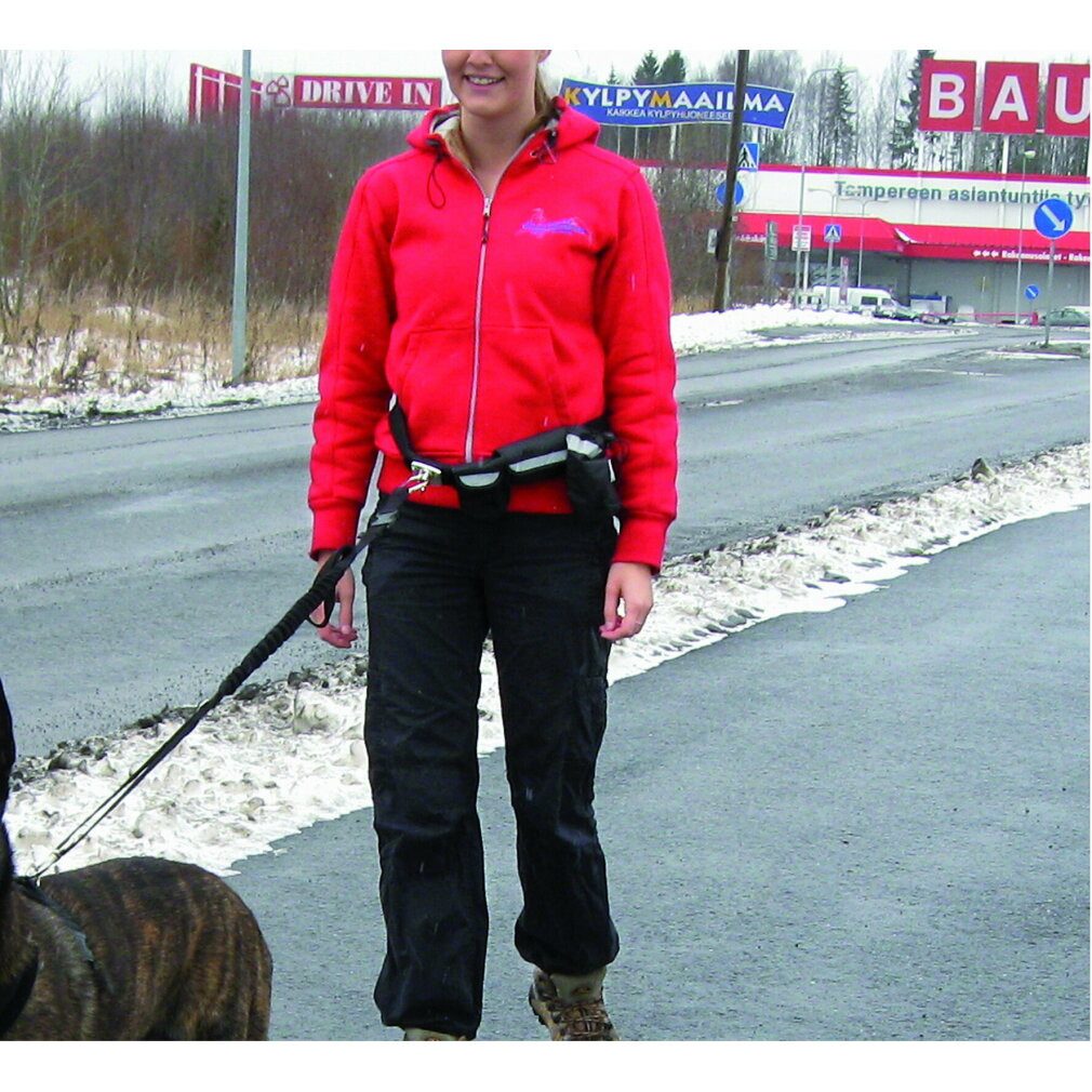 Pawise Hundeleine Hands Free Doggy Bike Jogger Kit, (Packung)