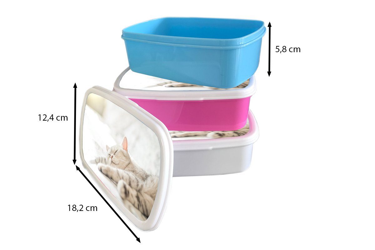 MuchoWow Lunchbox Die (2-tlg), Mädchen, Kinder, Brotbox schläft rosa Katze Brotdose Erwachsene, Kunststoff für dem Snackbox, auf Kunststoff, Sofa