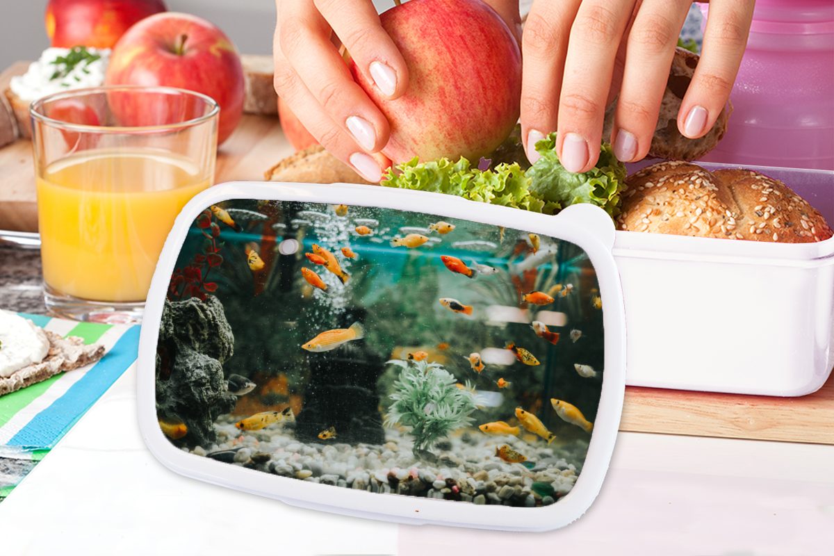 und einem für Lunchbox Mädchen Kinder und Brotdose, Erwachsene, MuchoWow Fische für Brotbox Aquarium, weiß in Jungs Kunststoff, Kleine (2-tlg),