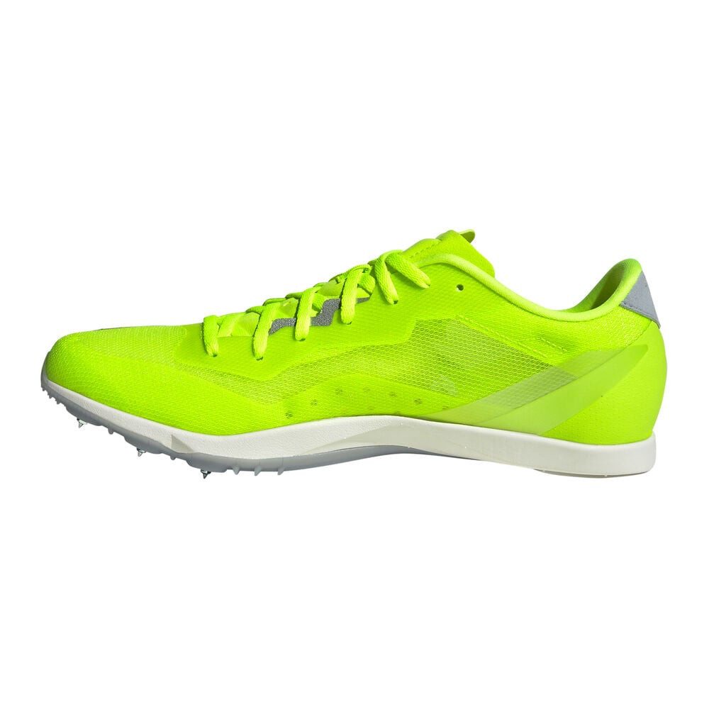 adidas Sportswear Distancestar - Spikeschuh Laufschuh günstig online kaufen