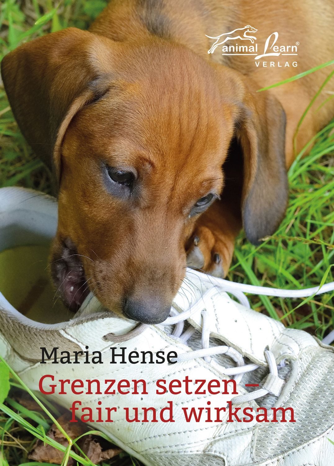 Grenzen setzen fair und wirksam / Maria Hense