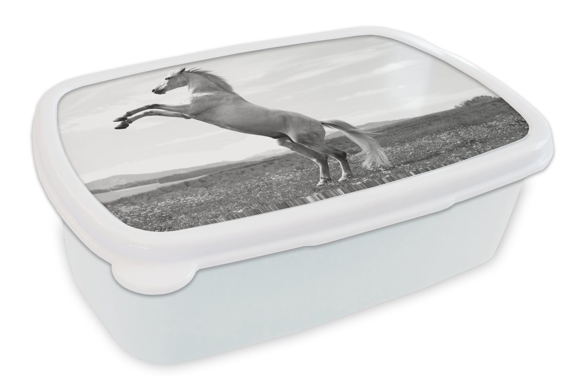 MuchoWow Lunchbox Pferd - und Tänzelnd Jungs Erwachsene, für für Mädchen und Natur, Kinder Brotbox weiß Brotdose, - (2-tlg), Kunststoff