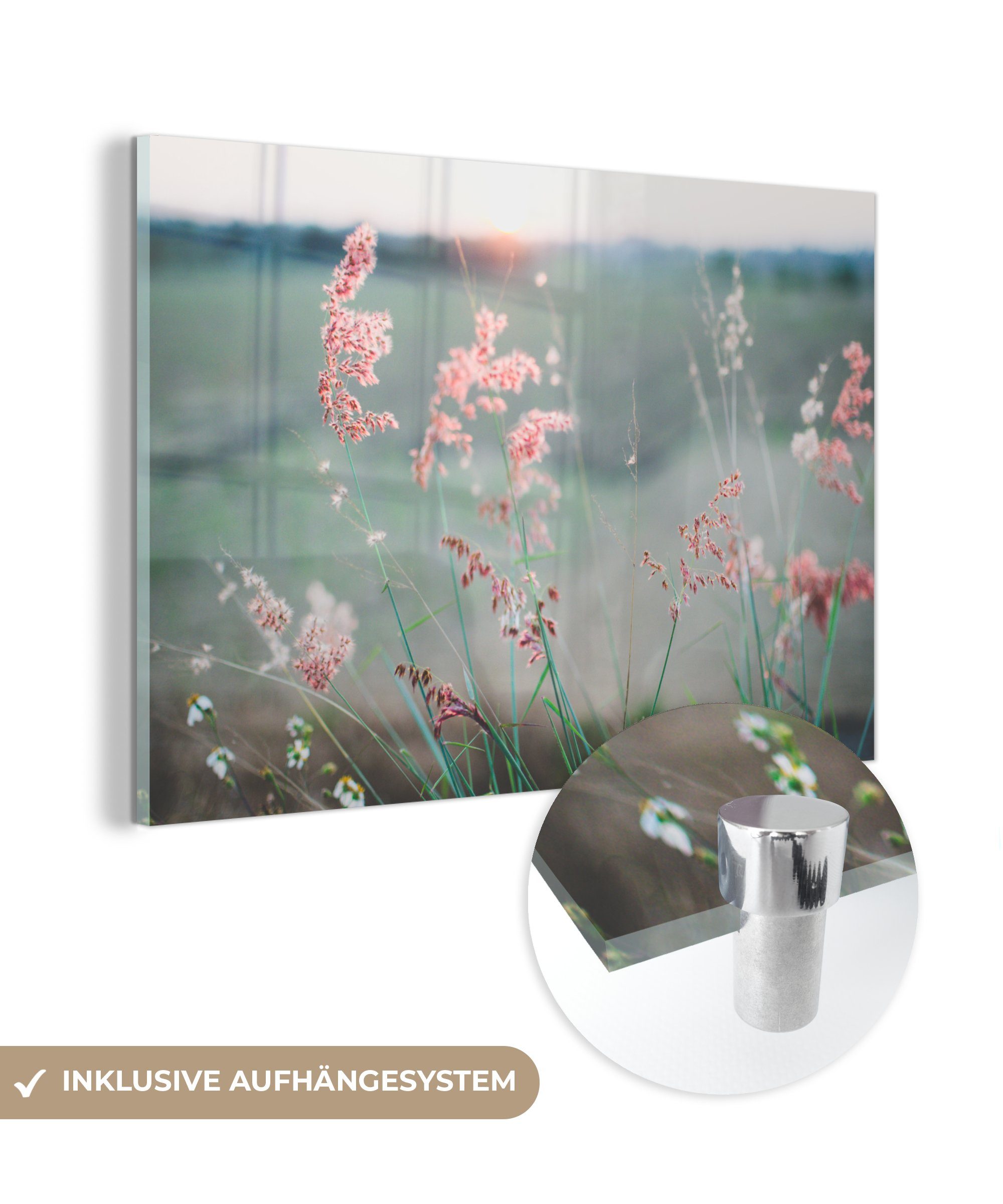 MuchoWow Acrylglasbild Blumen - Wasser - Rosa, (1 St), Acrylglasbilder Wohnzimmer & Schlafzimmer