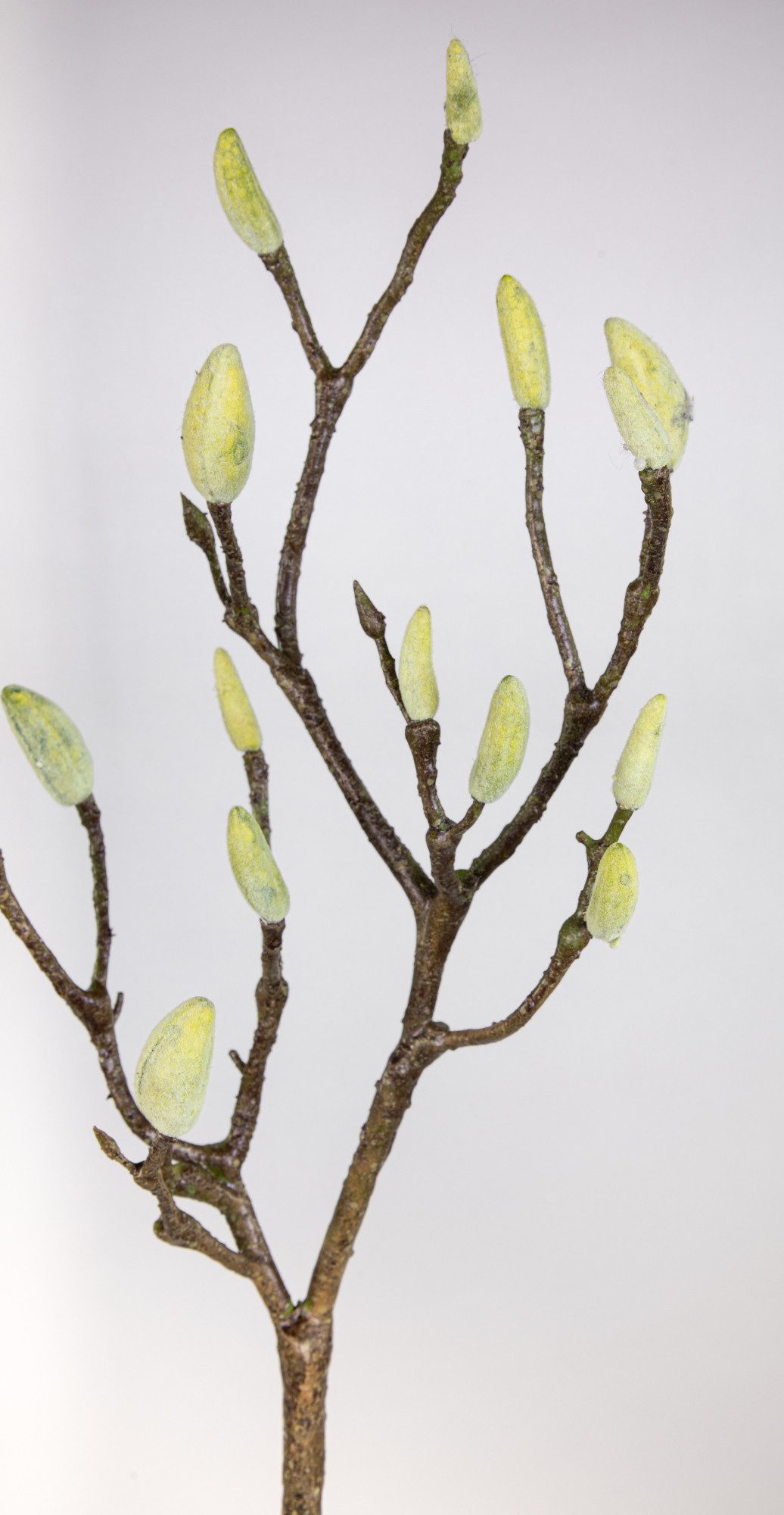 Kunstblume Magnolien-Knospen-Zweig 90cm CG künstliche Blumen Magnolienzweig günstig online kaufen