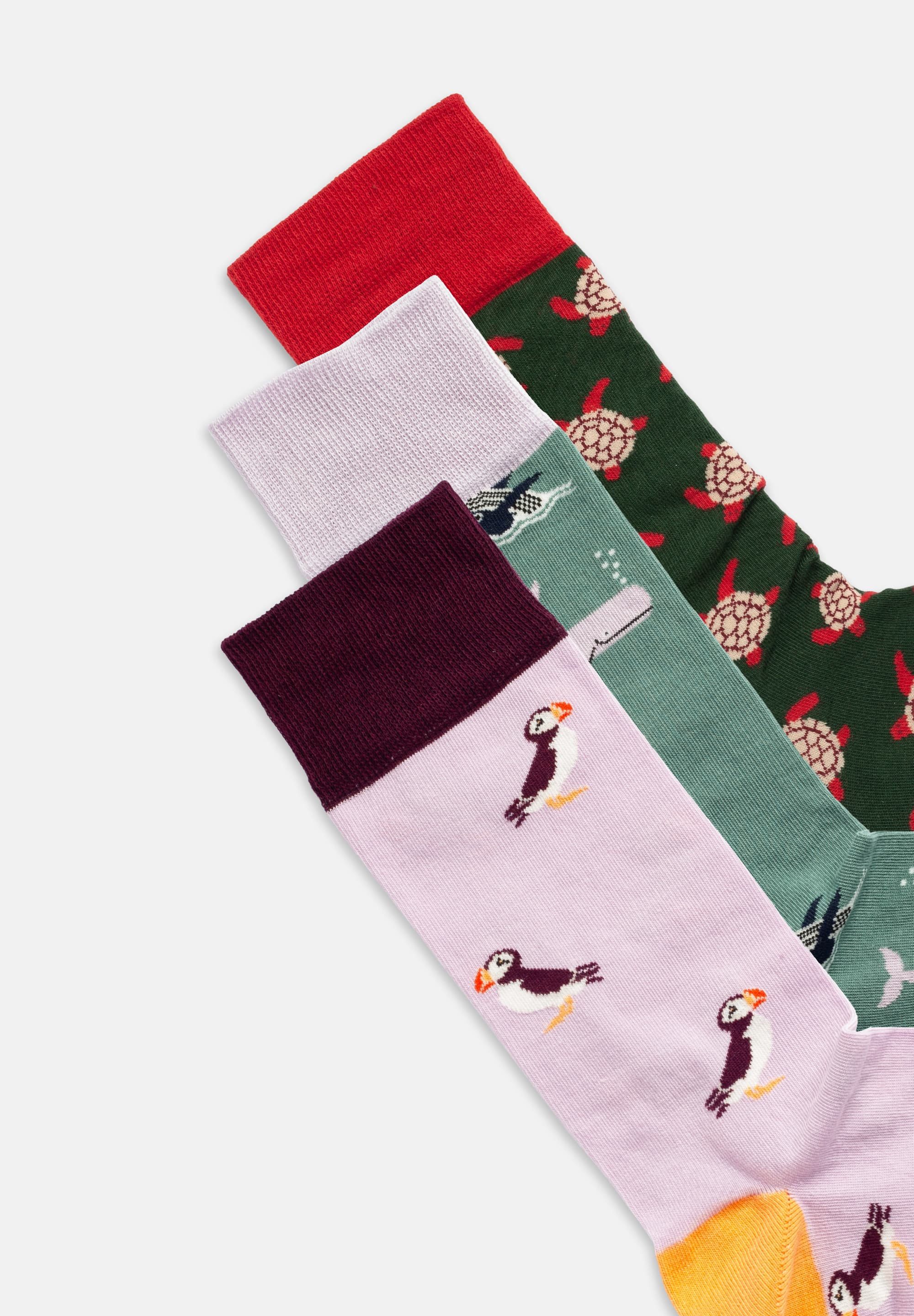 DillySocks Basicsocken Ocean Enthusiasts Aus Baumwolle & recyceltem Polyamid