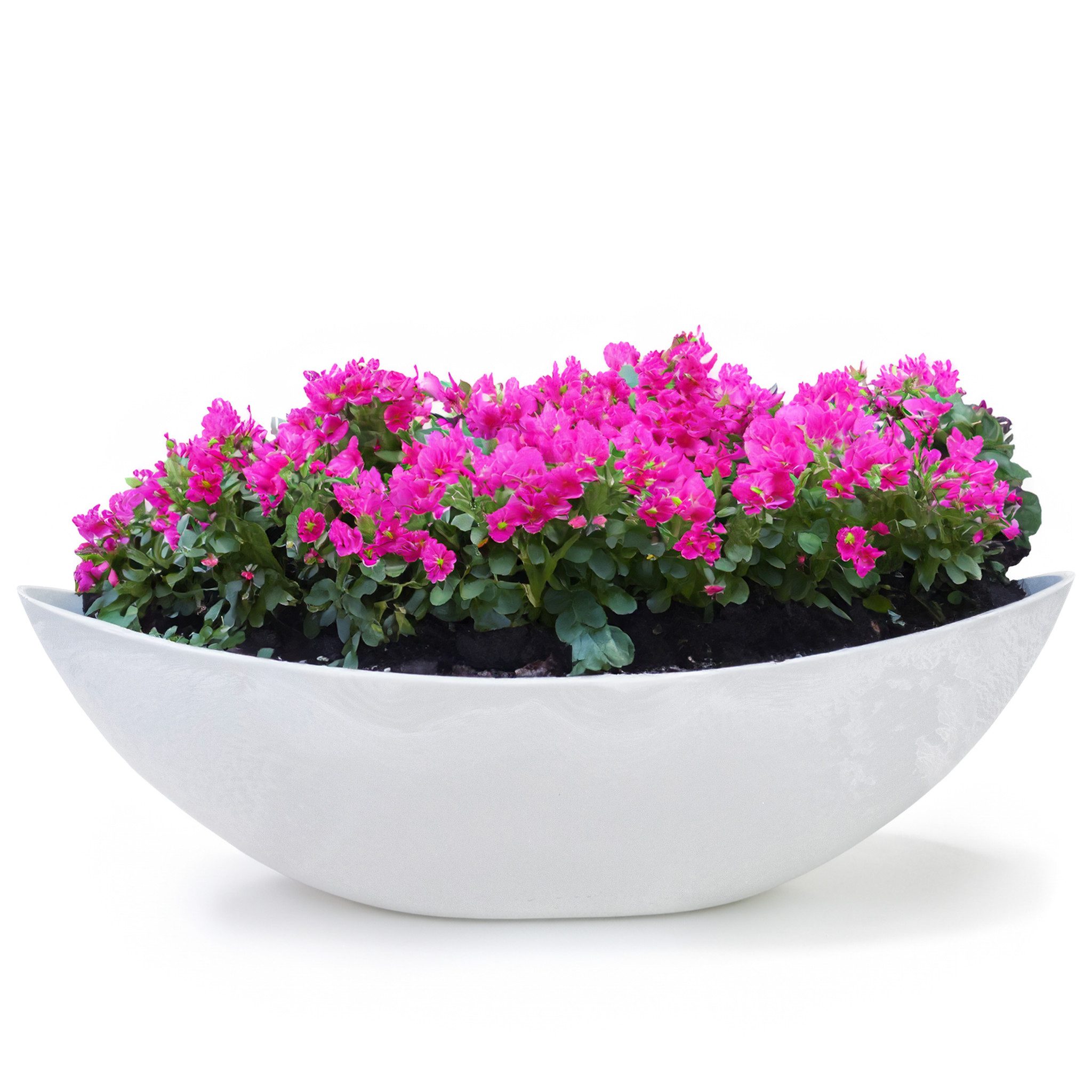 matches21 HOME & HOBBY Blumentopf Große Vintage Outdoor Pflanzschale oval 55 cm hell-grau (1 St), Längliche Deko-Schale als wetterfeste Garten-Deko Blumen-Schale