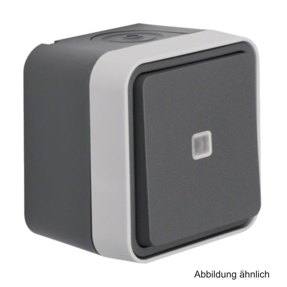 Berker Berker Aufputz-Wechselschalter beleuchtet, grau, 30763525 Audio- & Video-Kabel