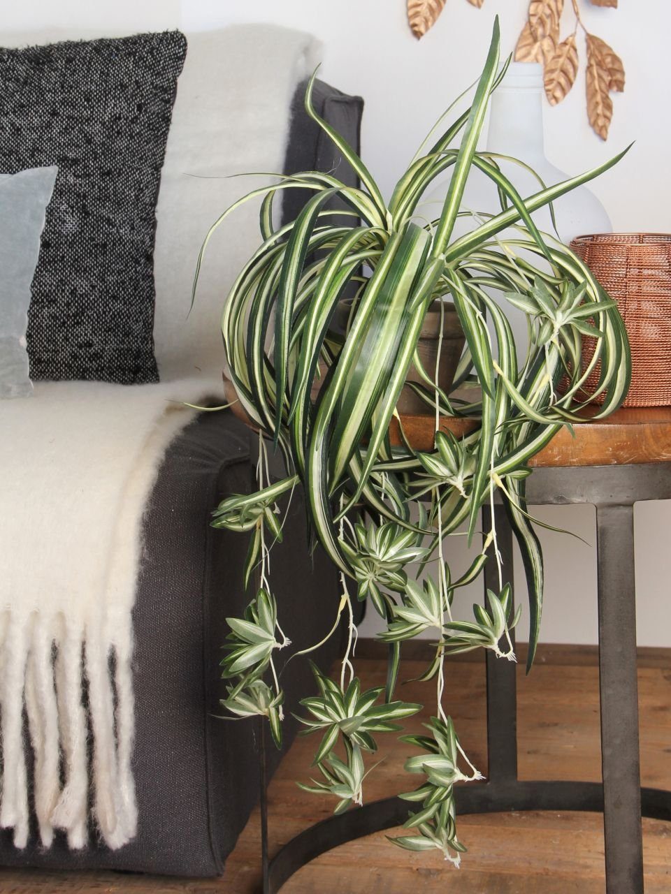 Kunstpflanze Mica Chlorophytum im Topf grün, 45 x 45 cm, Mica Decorations günstig online kaufen