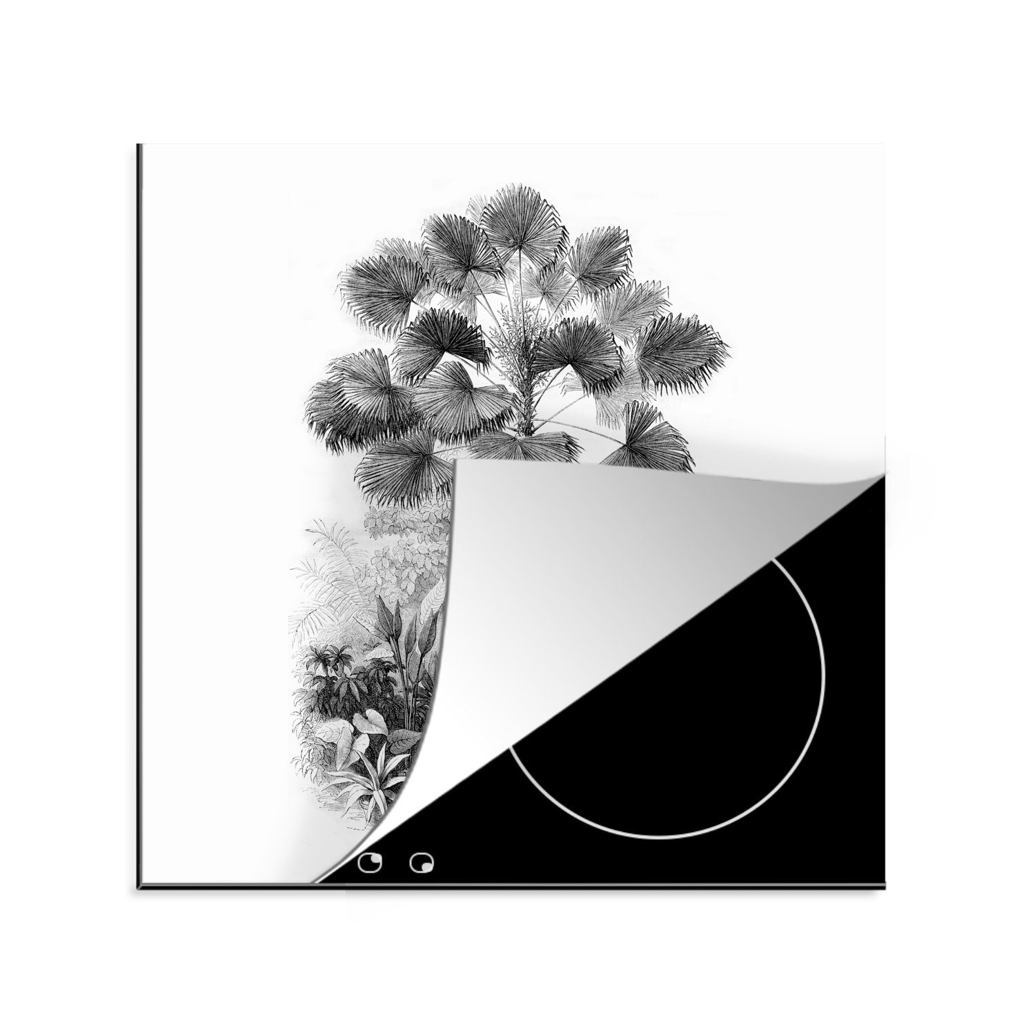 tlg), cm, MuchoWow Vinyl, Natur 78x78 Herdblende-/Abdeckplatte für - - Ceranfeldabdeckung, Design küche Baum, Arbeitsplatte (1