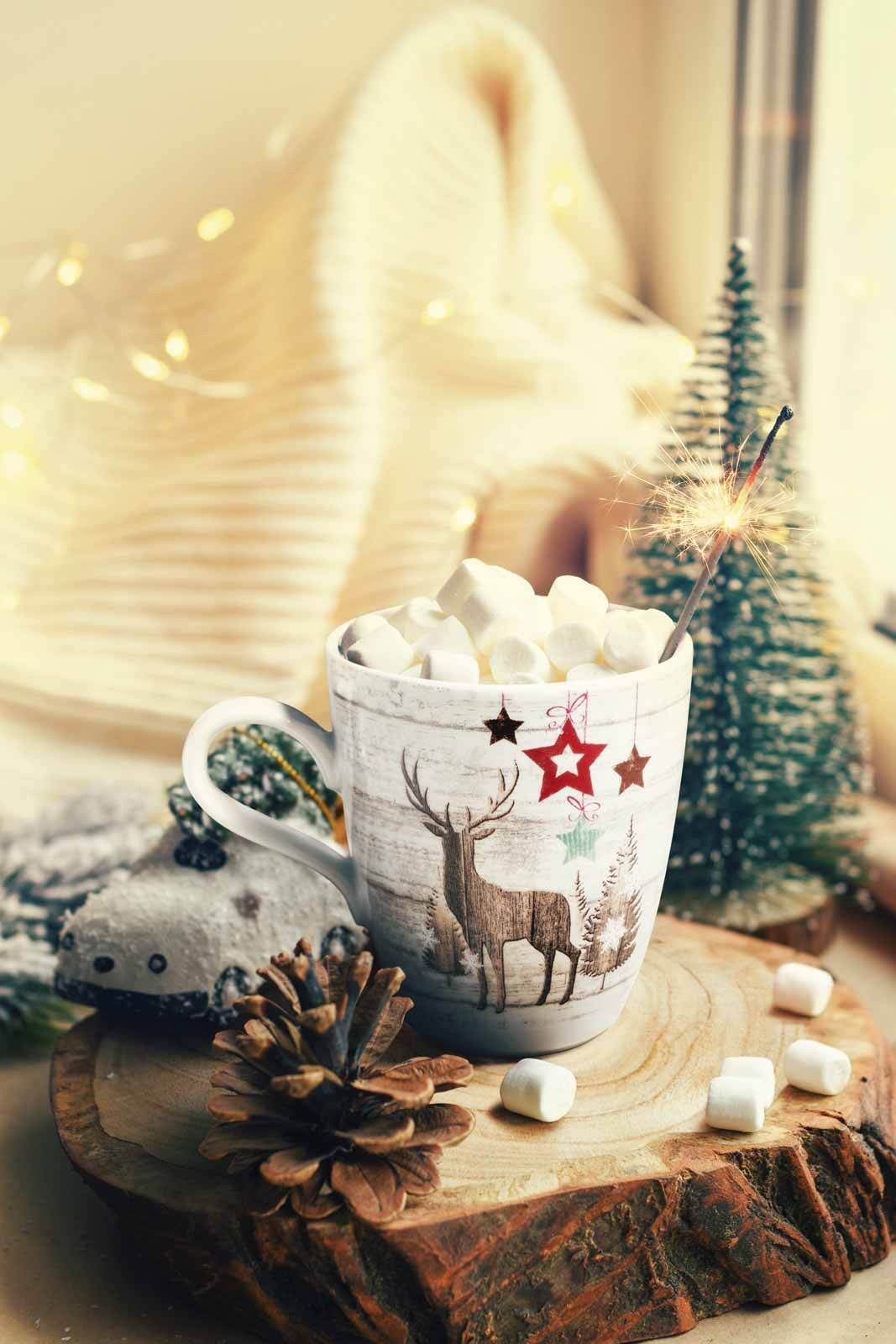 Seltmann Weiden Frühstücks-Geschirrset Life Christmas Frühstücks-Set 18er Set (18-tlg), 6 Personen, Porzellan