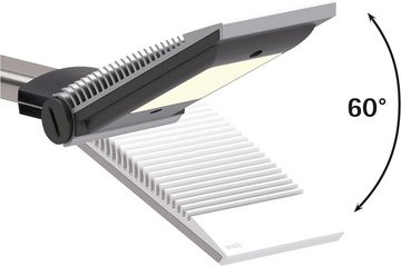MAUL LED Schreibtischlampe LED-Tischleuchte MAULprimus, colour vario, dimmbar, LED7, Höhenverstellbar, Homogene Lichtverteilung