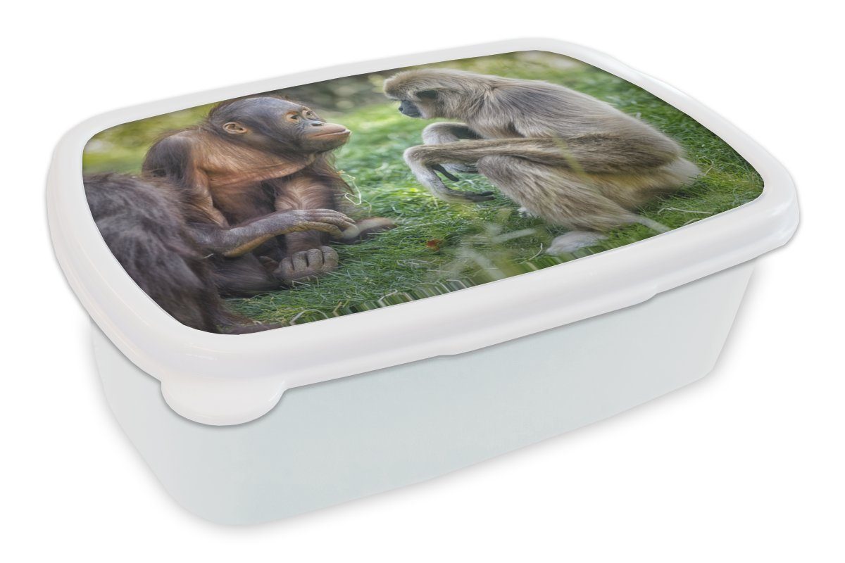 Affen Familie, - Kinder für - für Mädchen Lunchbox Jungs MuchoWow Brotbox (2-tlg), Tiere Erwachsene, Brotdose, und Kunststoff, und weiß