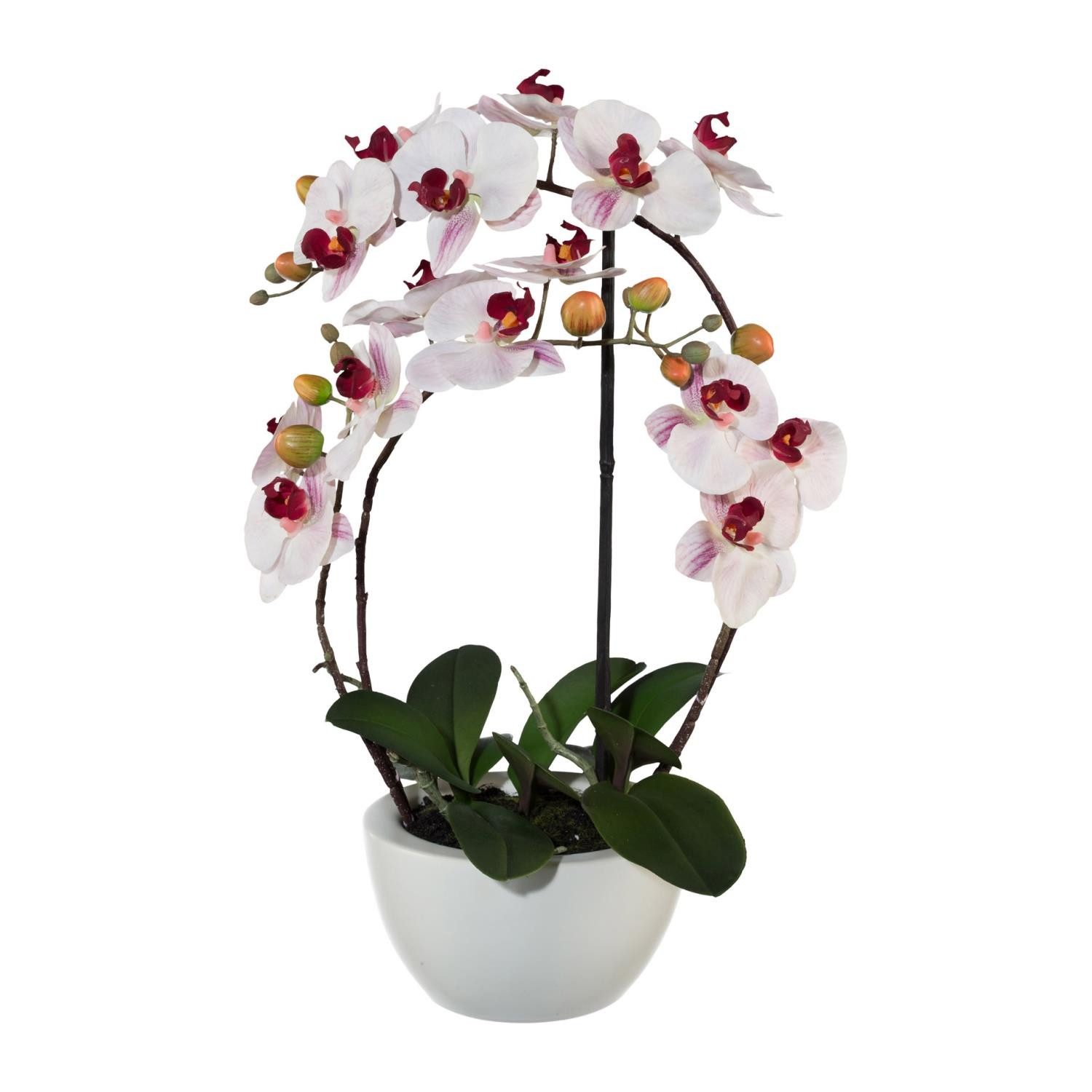Kunstblume Orchidee, Gasper, Höhe 52 cm, Im Topf, Rosa, Orchidee, H: 52cm