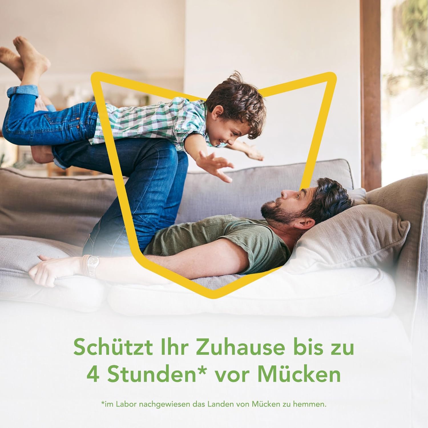 Raid Insektenfalle Essentials Mückenabwehr Raumschutz-Spray, 300ml