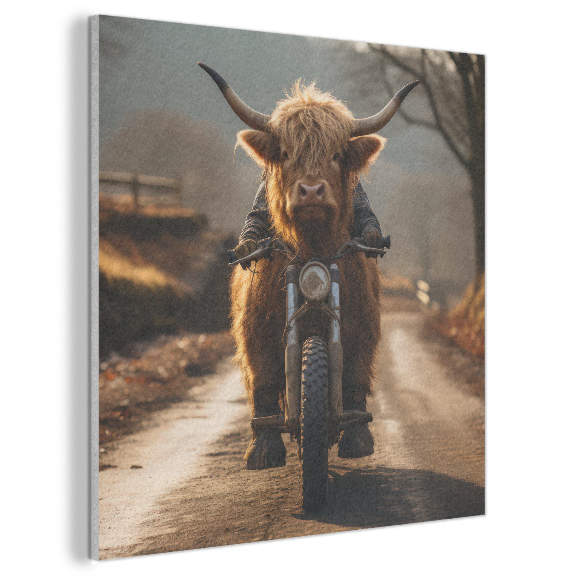 MuchoWow Gemälde Schottischer Highlander - Schal - Berge, Fotodruck (1 St), Akustikbilder Schallabsorber, Wandpaneele, Akustikpaneele 50x50 cm
