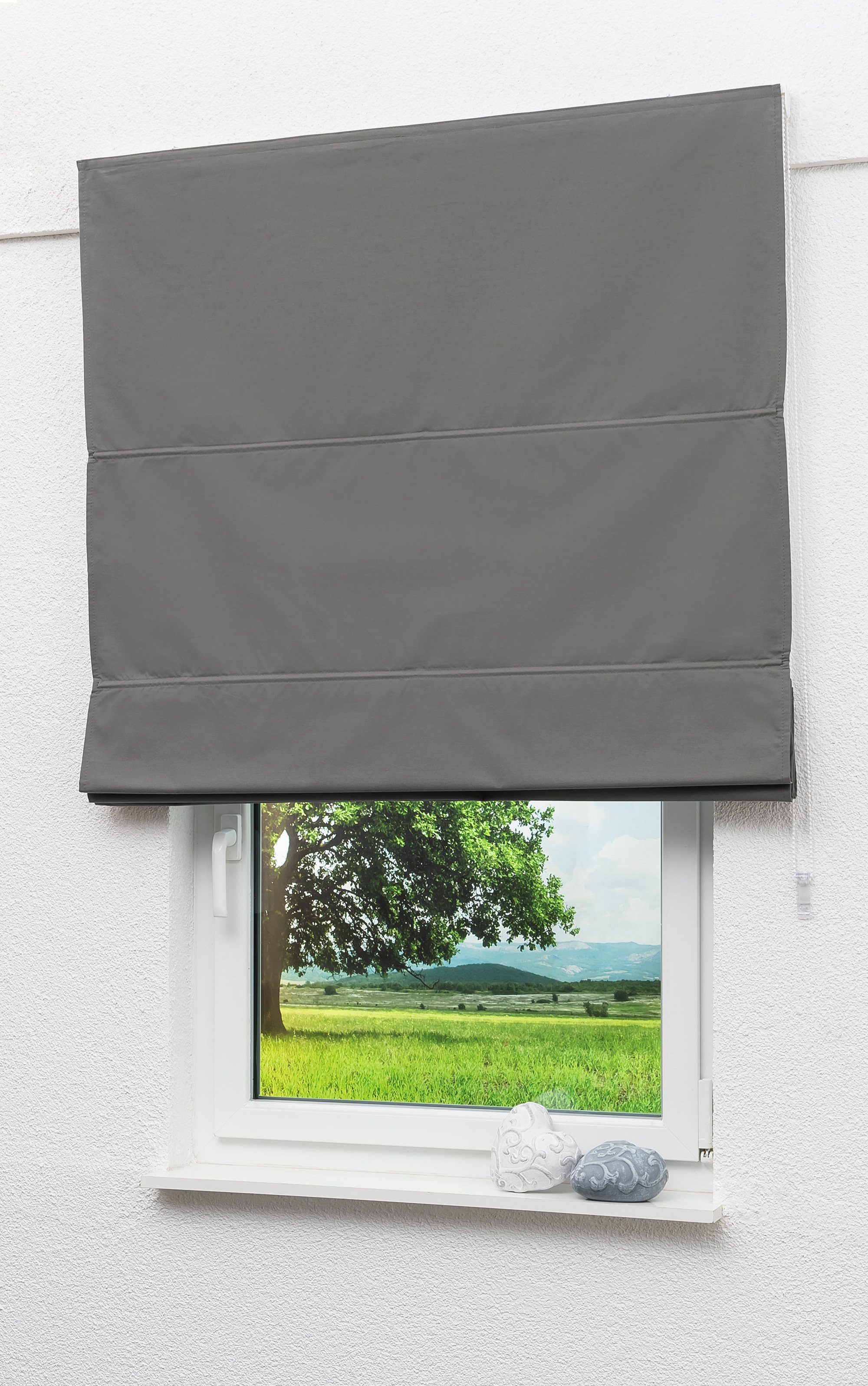 LYSEL® Raffrollo abdunkelnd Grau, HxB 170x80cm günstig online kaufen