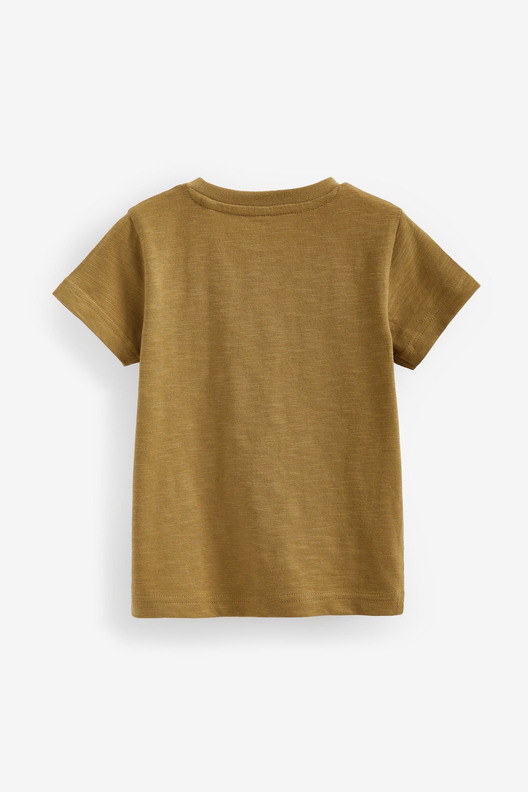 im T-Shirt Next (5-tlg) Rainbow Bear Kurzarm-T-Shirts mit 3er-Pack Figur