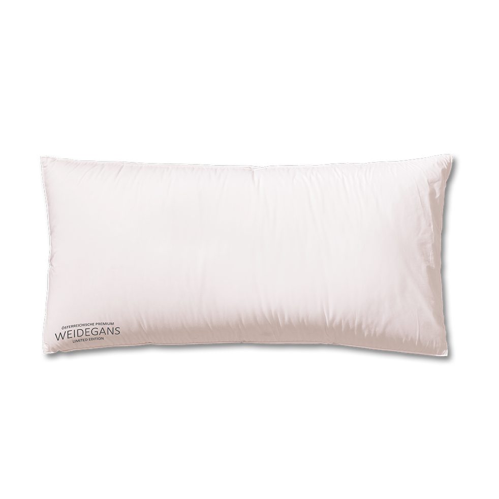Kauffmann Gänsedaunenkopfkissen 3 Kammerkissen "Weidegans Limited Edition", günstig online kaufen