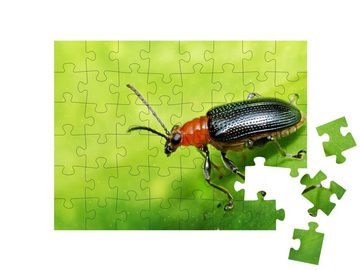 puzzleYOU Puzzle Schwarzer Käfer, 48 Puzzleteile, puzzleYOU-Kollektionen Käfer, Insekten & Kleintiere