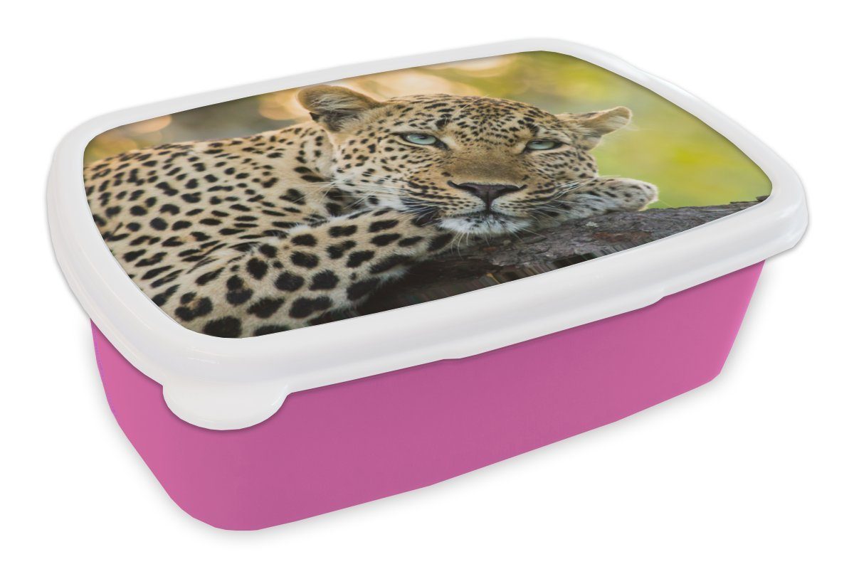 MuchoWow Lunchbox Leopard - Natur - Sonnenuntergang, Kunststoff, (2-tlg), Brotbox für Erwachsene, Brotdose Kinder, Snackbox, Mädchen, Kunststoff rosa