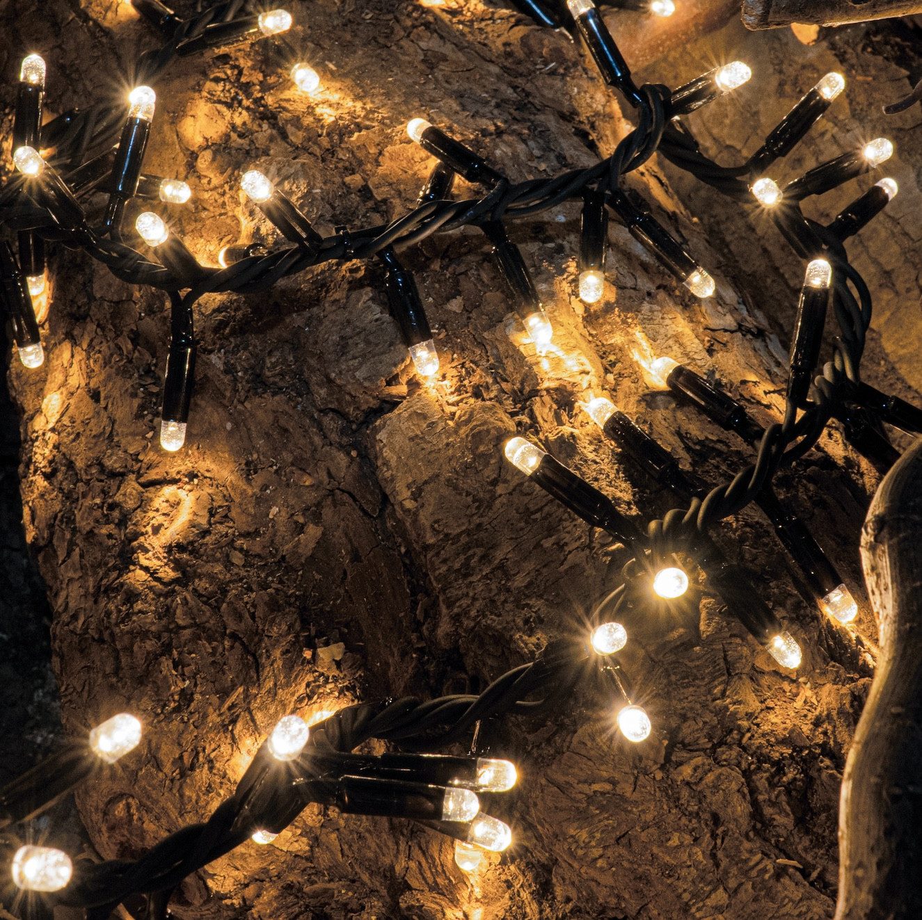 Sirius Home A/S LED-Lichterkette Tech-Line Cluster warmweiß 230V, 180-flammig