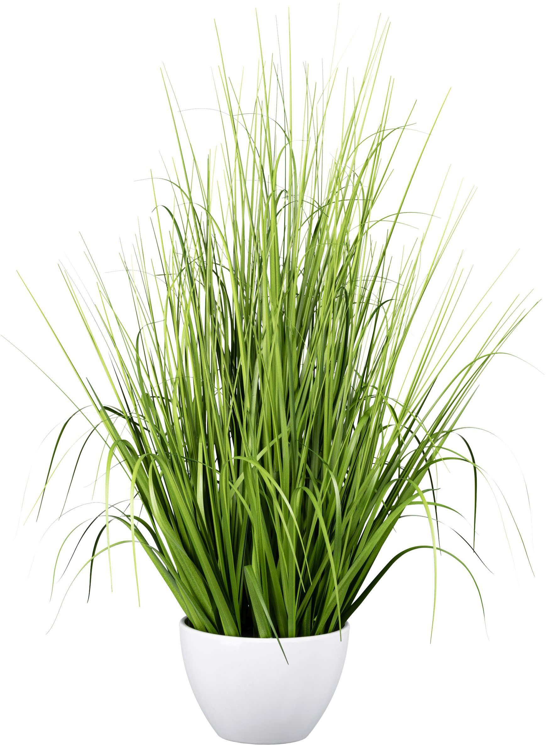 Kunstgras Grasbusch, Creativ green, Höhe 79 günstig online kaufen