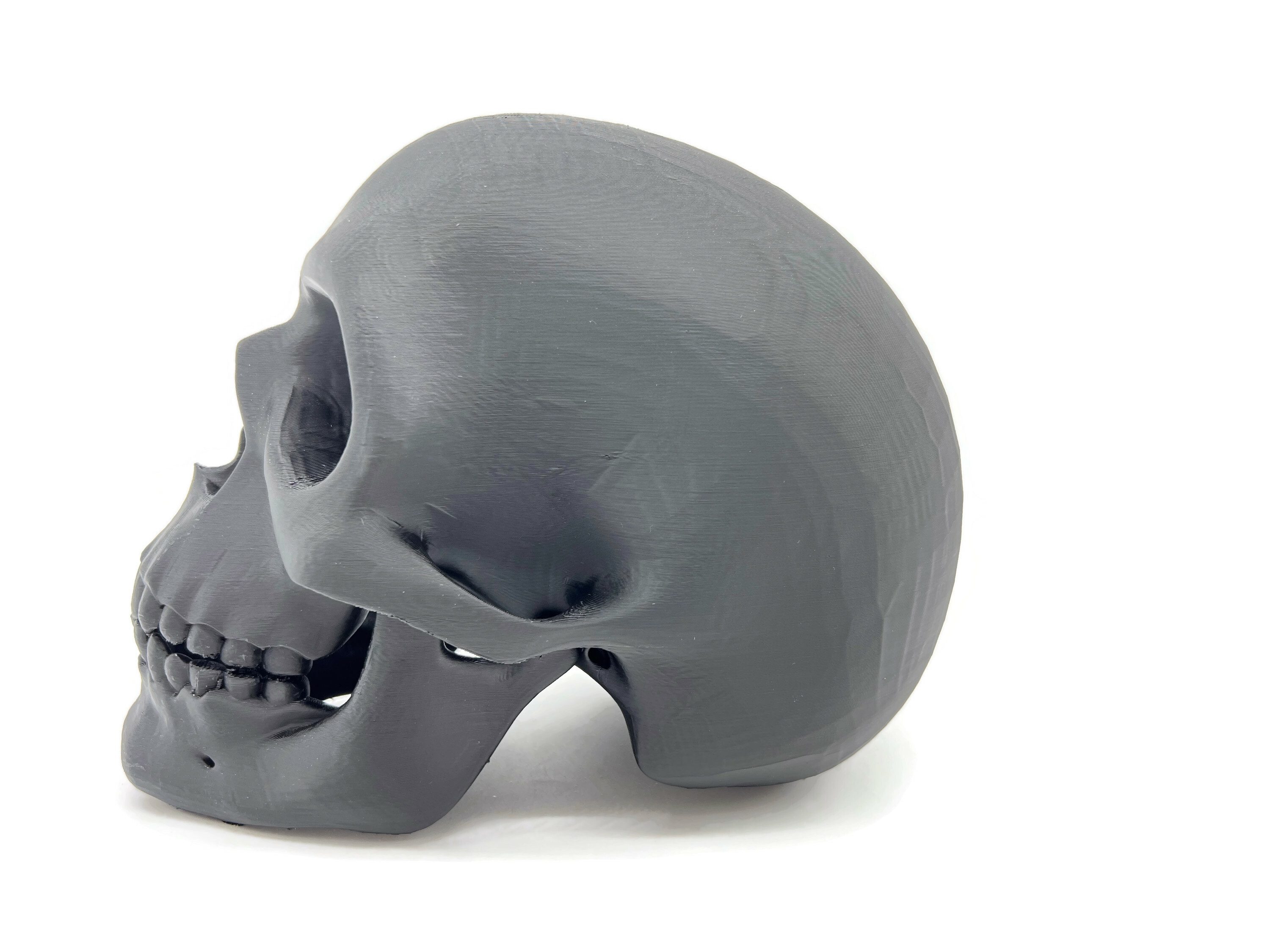 eXODA Skulptur Totenkopf Skulptur Schädel Skulptur als Dekoration oder Lehrmittel