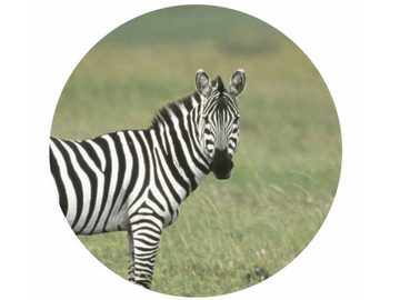 LK Trend & Style Sticker Wildtiere oder Waldtier Aufkleber rund, (Spar-Set 2-tlg), verschiedene Tiermotive zur Motivation