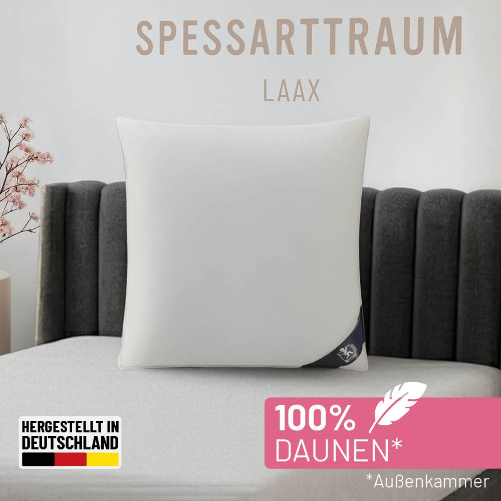 SPESSARTTRAUM 3-Kammer-Kopfkissen Laax Kissen 40x80 cm & 80x80 cm, Füllung: 100% Daunen, Bezug: 100% Baumwolle, Seitenschläfer, Rückenschläfer, 3-Kammerkissen weich und stützend