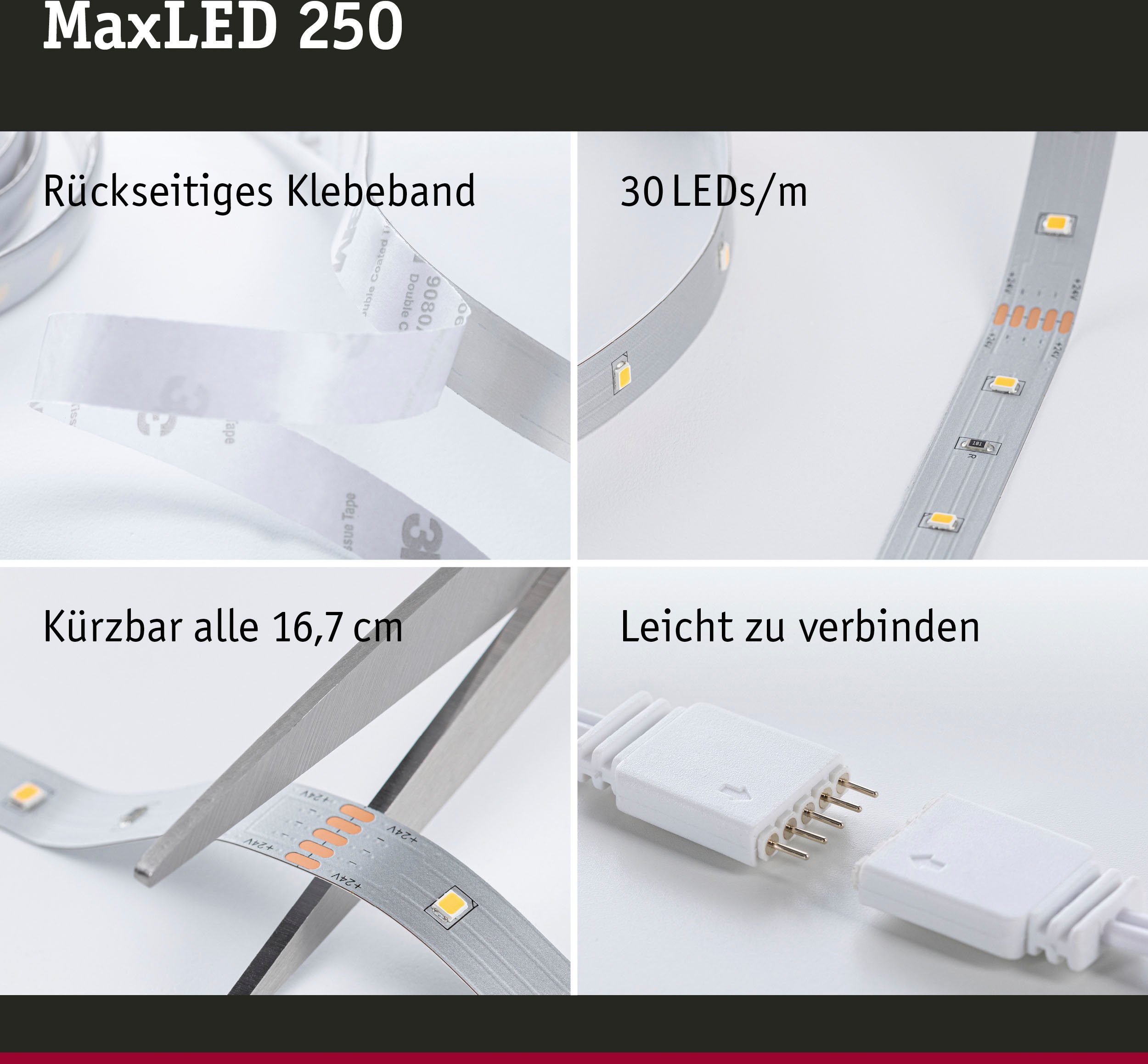 LED Basisset 1-flammig Paulmann 3m 250 Tageslichtweiß, MaxLED Stripe unbeschichtet