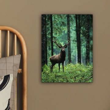 OneMillionCanvasses® Leinwandbild Hirsche - Wald - Bäume - Tiere - Natur, (1 St), Leinwand Bilder für Wohnzimmer Schlafzimmer 30x40 cm