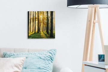 OneMillionCanvasses® Leinwandbild Wald - Sonne - Bäume - Gras - Landschaft - Natur, (1 St), Leinwand Bilder für Wohnzimmer Schlafzimmer