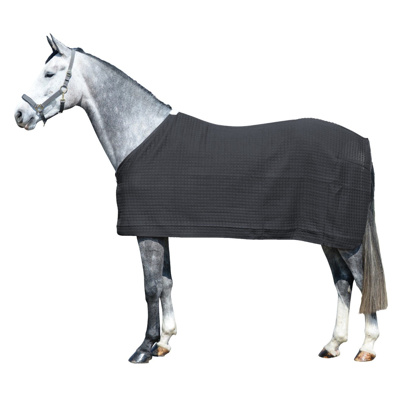 Pferde-Abschwitzdecke Pferdedecke Climatherm III, Regular - Schwarz, M 135 cm