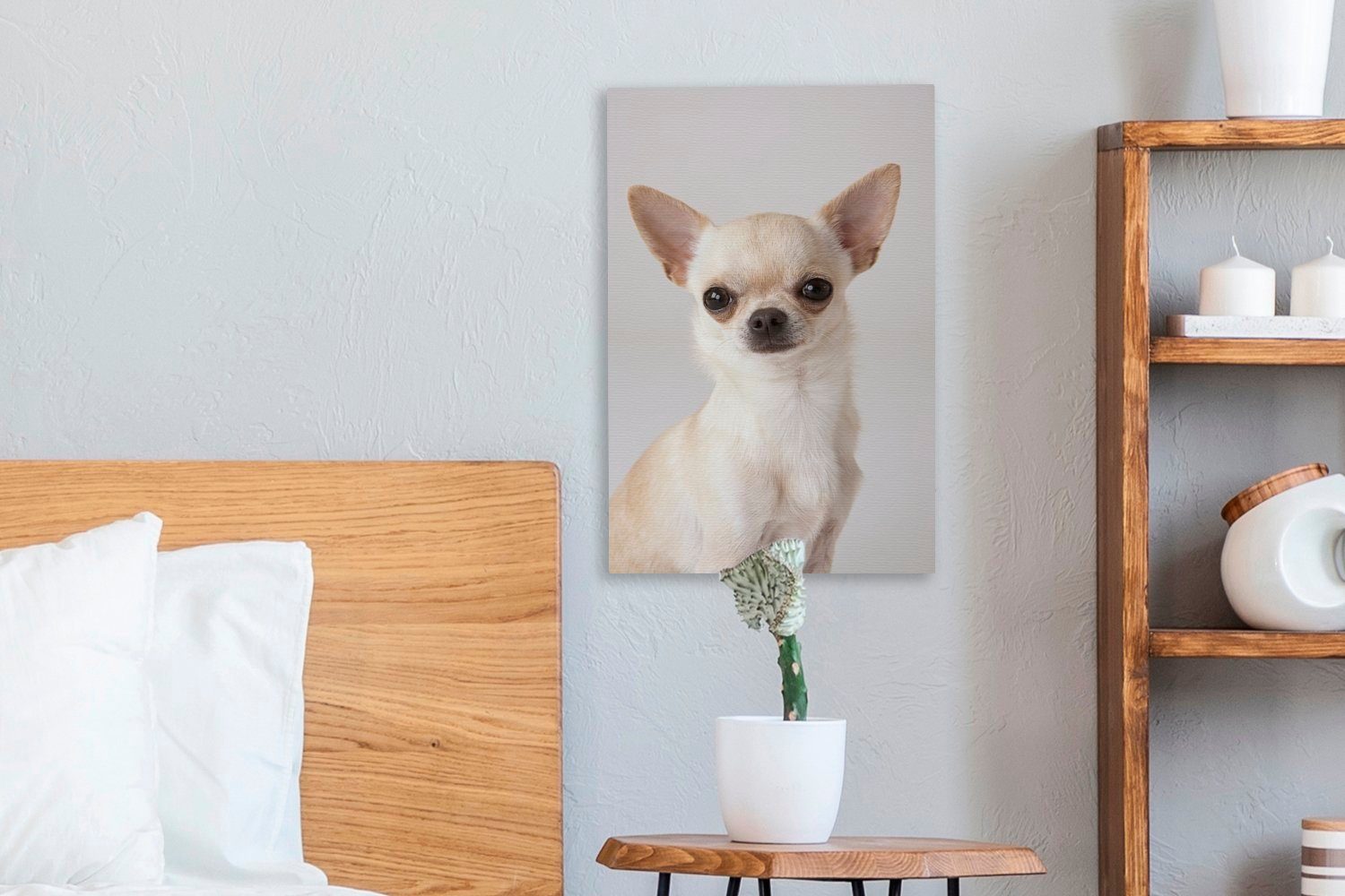 Zackenaufhänger, fertig kleinen Leinwandbild eines OneMillionCanvasses® weißen inkl. St), (1 Leinwandbild Chihuahuas, Porträt 20x30 Gemälde, cm bespannt