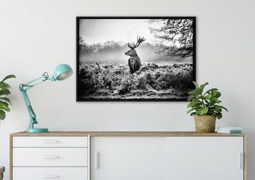 Pixxprint Leinwandbild Stolzer Hirsch, Wanddekoration (1 St), Leinwandbild fertig bespannt, in einem Schattenfugen-Bilderrahmen gefasst, inkl. Zackenaufhänger