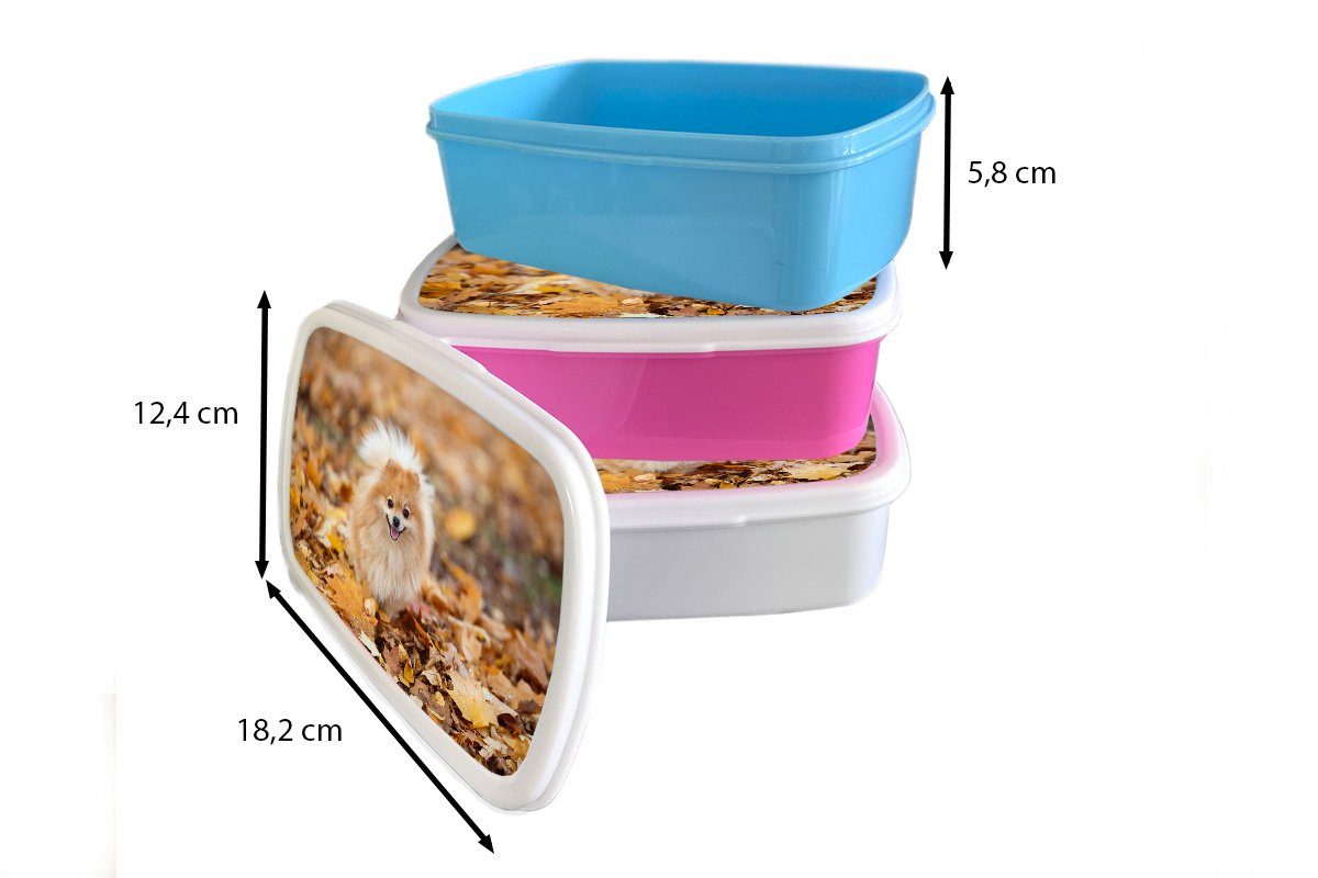 MuchoWow Lunchbox Pomeranian im rosa Snackbox, Herbst, Kinder, Brotbox (2-tlg), Kunststoff Mädchen, Erwachsene, Kunststoff, Brotdose für