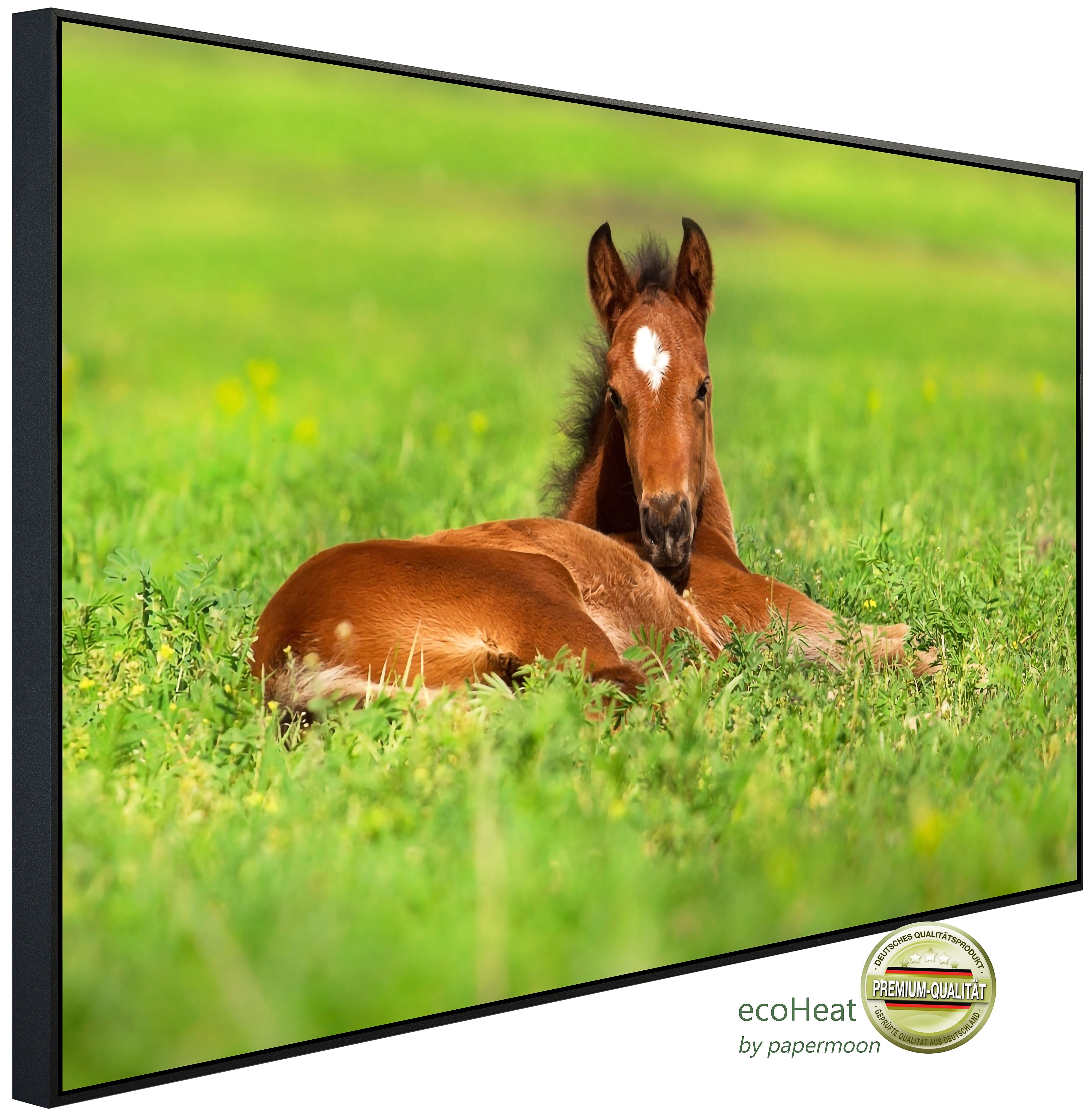 Papermoon Infrarotheizung INFRAROT-BILD-HEIZUNG, Pferd in Wiese, TÜV-Rheinland/GS zertifiziert, angenehme Strahlungswärme