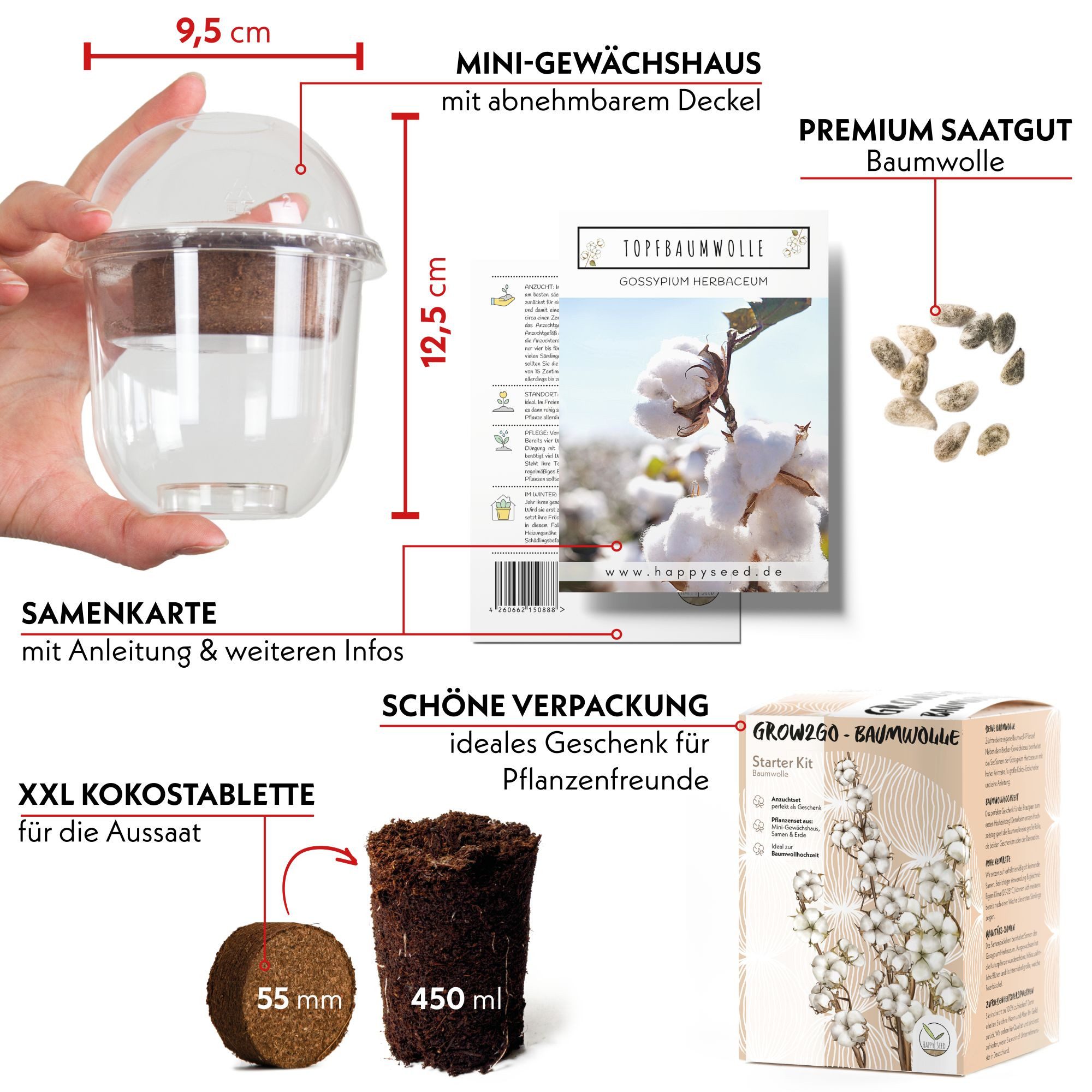 HappySeed Blumensamen Baumwoll-Pflanzset ideal zur Baumwollhochzeit - Gewächshaus & Samen, Pflanze – Bild 2 von 5